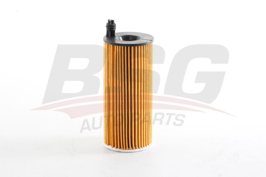 Фильтр масляный BMW 1 (F20), 3 (E90), 5 (F07, F10), X3 (F25) (1.6 D/2.0 D/3.0 D) BSG