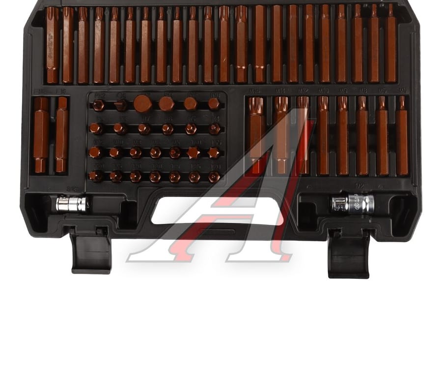 Набор бит 1/2", 3/8" (T20-T60, R6-R12, H4-H12, M5-M16) 60 предметов в кейсе LIGE